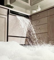 dishwasher spilling water shows why buyers can withhold funds on closing for broken appliances.